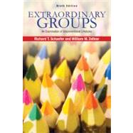Extraordinary Groups An Examination of Unconventional Lifestyles by Schaefer, Richard T.; Zellner, William W., 9781429232241