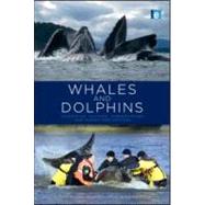 Whales and Dolphins by Brakes, Philippa; Simmonds, Mark Peter, 9781849712248