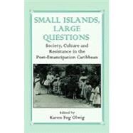 Small Islands, Large Questions: Society, Culture and Resistance in the Post-Emancipation Caribbean by Olwig,Karen Fog, 9780714642253