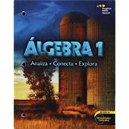Algebra 1 by Burger, Edward B.; Dixon, Juli K.; Kanold, Timothy D.; Larson, Matthew R.; Leinwand, Steven J., 9780544102255