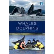 Whales and Dolphins by Brakes, Philippa; Simmonds, Mark Peter, 9781849712255