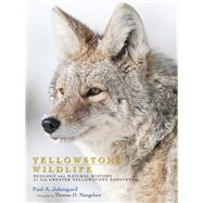 Yellowstone Wildlife by Johnsgard, Paul A.; Mangelsen, Thomas D., 9781607322283