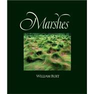 Marshes : The Disappearing Edens by William Burt, 9780300122299