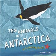 Ten Animals in Antarctica A Counting Book by Court, Moira; Court, Moira, 9781623542320