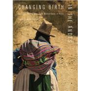 Changing Birth in the Andes by Guerra-reyes, Lucia, 9780826522375