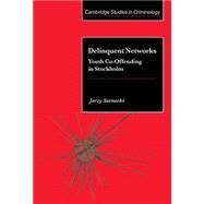Delinquent Networks: Youth Co-Offending in Stockholm by Jerzy Sarnecki, 9780521802390