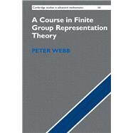 A Course in Finite Group Representation Theory by Webb, Peter, 9781107162396