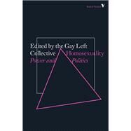 Homosexuality Power and Politics by GAY LEFT COLLECTIVE, 9781788732406