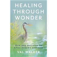 Healing Through Wonder by Val Walker, 9798881842406