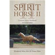 Spirit Horse II by Wiley, Elizabeth, 9781490792408