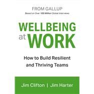 Wellbeing at Work by Clifton, Jim; Harter, Jim, 9781595622419