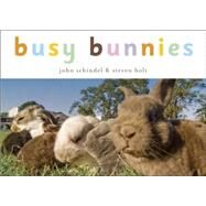 Busy Bunnies by Schindel, John; Holt, Steven, 9781582462424