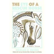 Eye Of A Rescue Horse A Foal's Vision by Brown, Morgan, 9781667832432