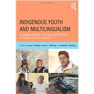 Indigenous Youth and Multilingualism: Language Identity, Ideology, and Practice in Dynamic Cultural Worlds by Wyman; Leisy T., 9780415522434