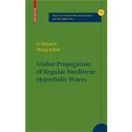Global Propagation of Regular Nonlinear Hyperbolic Waves by Tatsien, Li; Libin, Wang, 9780817642440