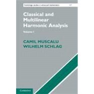 Classical and Multilinear Harmonic Analysis by Camil Muscalu , Wilhelm Schlag, 9780521882453