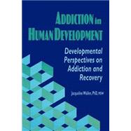 Addiction in Human Development: Developmental Perspectives on Addiction and Recovery by Carruth; Bruce, 9781560242475