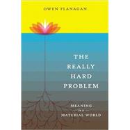 The Really Hard Problem by Flanagan, Owen J., 9780262512480