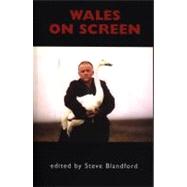 Wales on Screen by Blandford, Steve, 9781854112484