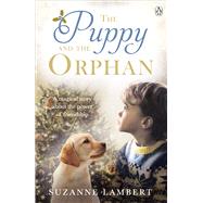 The Puppy and the Orphan by Lambert, Suzanne, 9781405932486