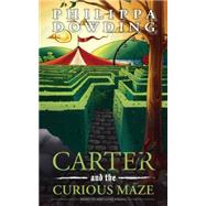 Carter and the Curious Maze by Dowding, Philippa; Daigle, Shawna, 9781459732490