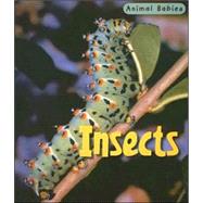 Insects by Theodorou, Rod, 9781403492517