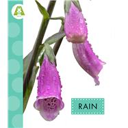 Rain by Suen, Anastasia, 9798896852520