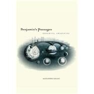 Benjamin's Passages Dreaming, Awakening by Gelley, Alexander, 9780823262564