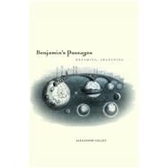 Benjamin's Passages Dreaming, Awakening by Gelley, Alexander, 9780823262571