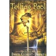 The Telling Pool by Clement-Davies, David, 9780810992573