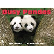 Busy Pandas by Schindel, John; Husar, Lisa; Husar, Mike, 9781582462592