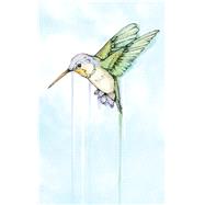 Hummingbird by Angelini, Jude, 9781945572593