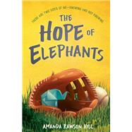 The Hope of Elephants by Hill, Amanda Rawson, 9781623542597