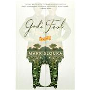 God's Fool by Slouka, Mark, 9780393352641