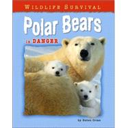 Polar Bears in Danger by Orme, Helen, 9781597162647
