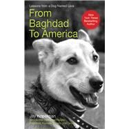 From Baghdad To Amer Cl by Kopelman,Jay, 9781602392649