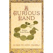 A Curious Land by Darraj, Susan Muaddi, 9781625342652