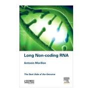 Long Non-coding Rna by Morillon, Antonin, 9781785482656