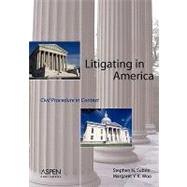 Litigating in America Civil Procedure in Context by Subrin, Stephen N.; Woo, Margaret Y. K., 9780735552661