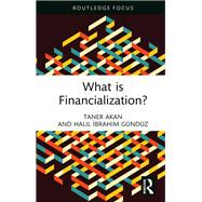 What is Financialization? by Taner Akan; Halil Ibrahim Gndz, 9781032372662