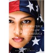 The Practice of Islam in America by Curtis, Edward E., IV, 9781479882670