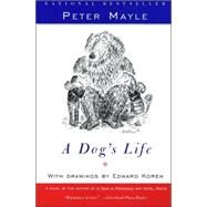 A Dog's Life by MAYLE, PETER, 9780679762676