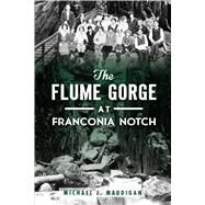 The Flume Gorge at Franconia Notch by Maddigan, michael J., 9781467142687