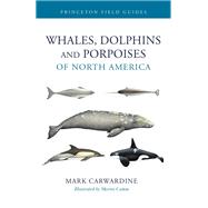 Whales, Dolphins, and Porpoises of North America by Mark Carwardine, 9780691282701