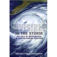 Invisible in the Storm by Roulstone, Ian; Norbury, John, 9780691152721