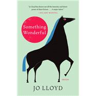 Something Wonderful Stories by Lloyd, Jo, 9781951142728
