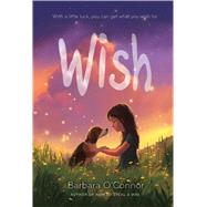 Wish by O'Connor, Barbara, 9780374302733