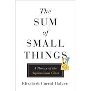 The Sum of Small Things by Currid-halkett, Elizabeth, 9780691162737