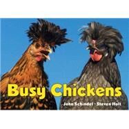 Busy Chickens by Schindel, John; Holt, Steven, 9781582462752