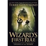 Wizard's First Rule by Goodkind, Terry, 9780765322753